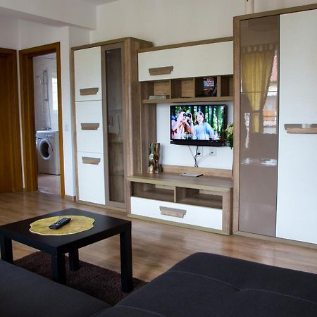 Casa Georgi Coresi Brasovアパートメント エクステリア 写真