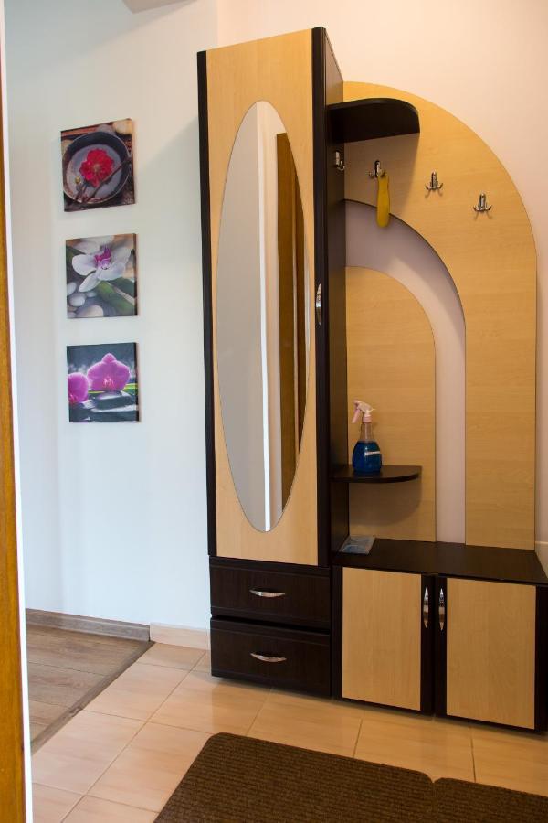 Casa Georgi Coresi Brasovアパートメント エクステリア 写真