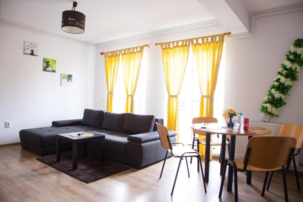 Casa Georgi Coresi Brasovアパートメント エクステリア 写真